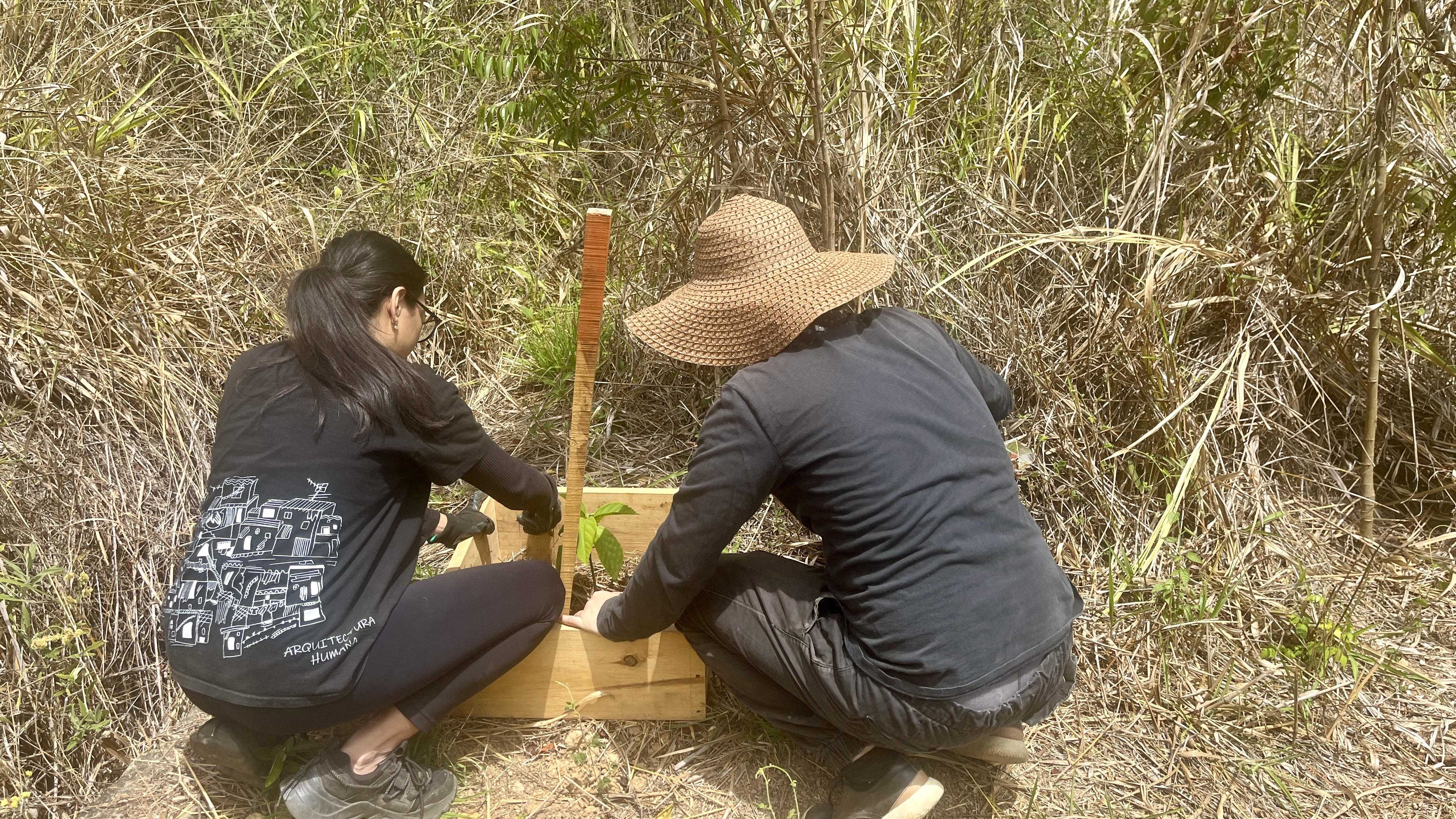 Bosque Común La Palomera
