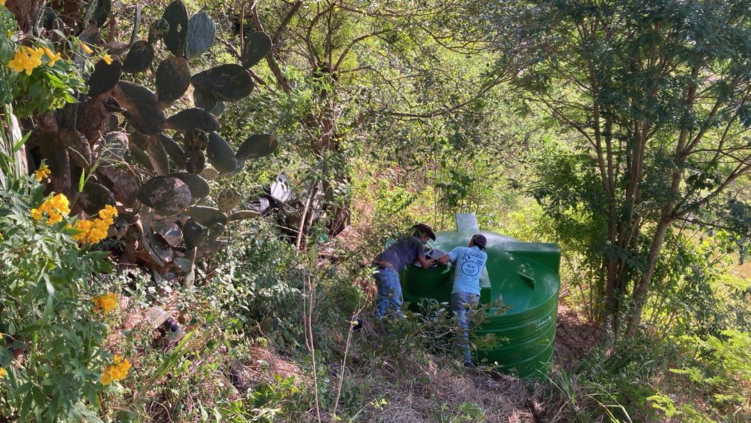 Bosque Común La Palomera