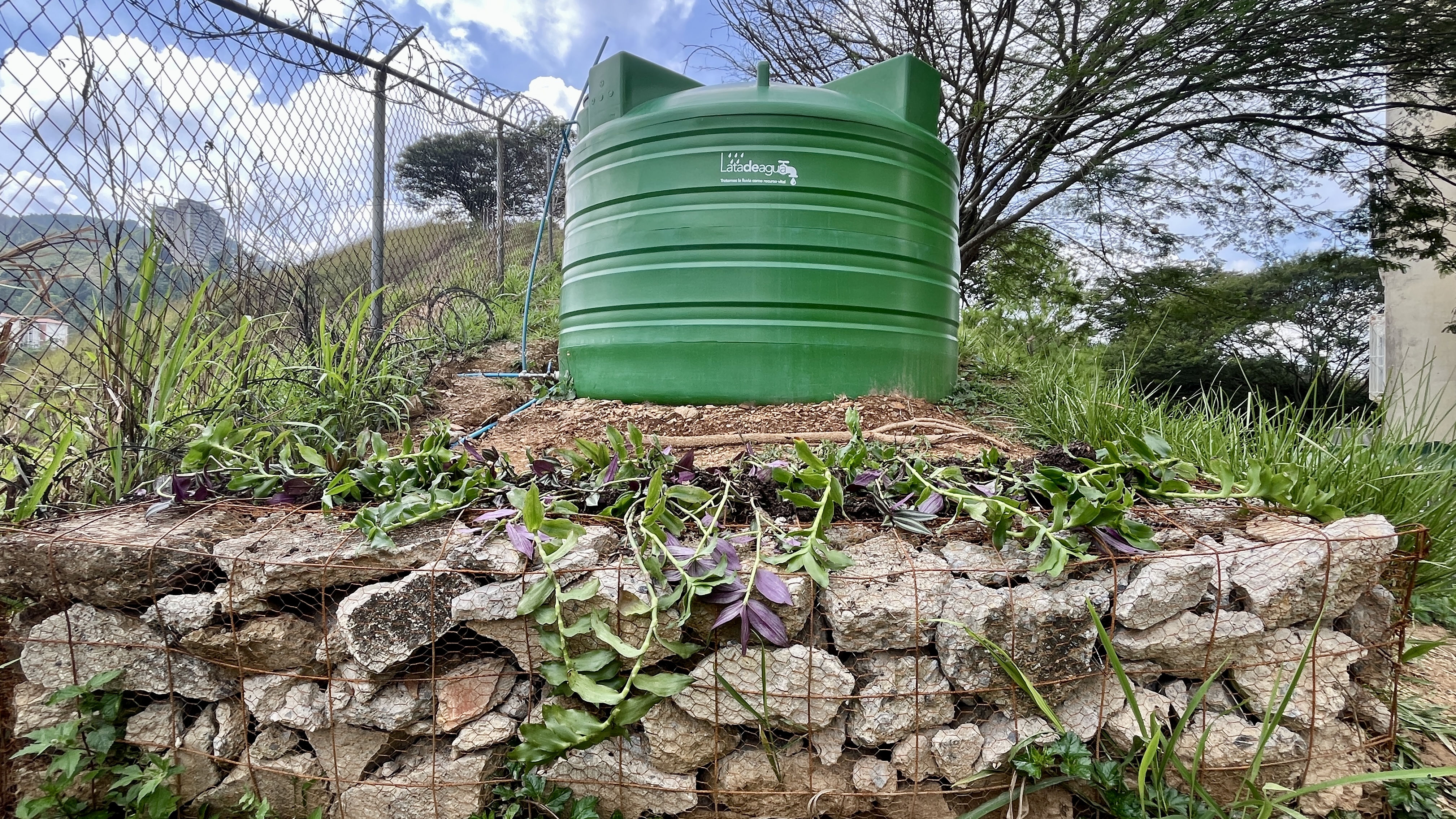 Bosque Común La Palomera