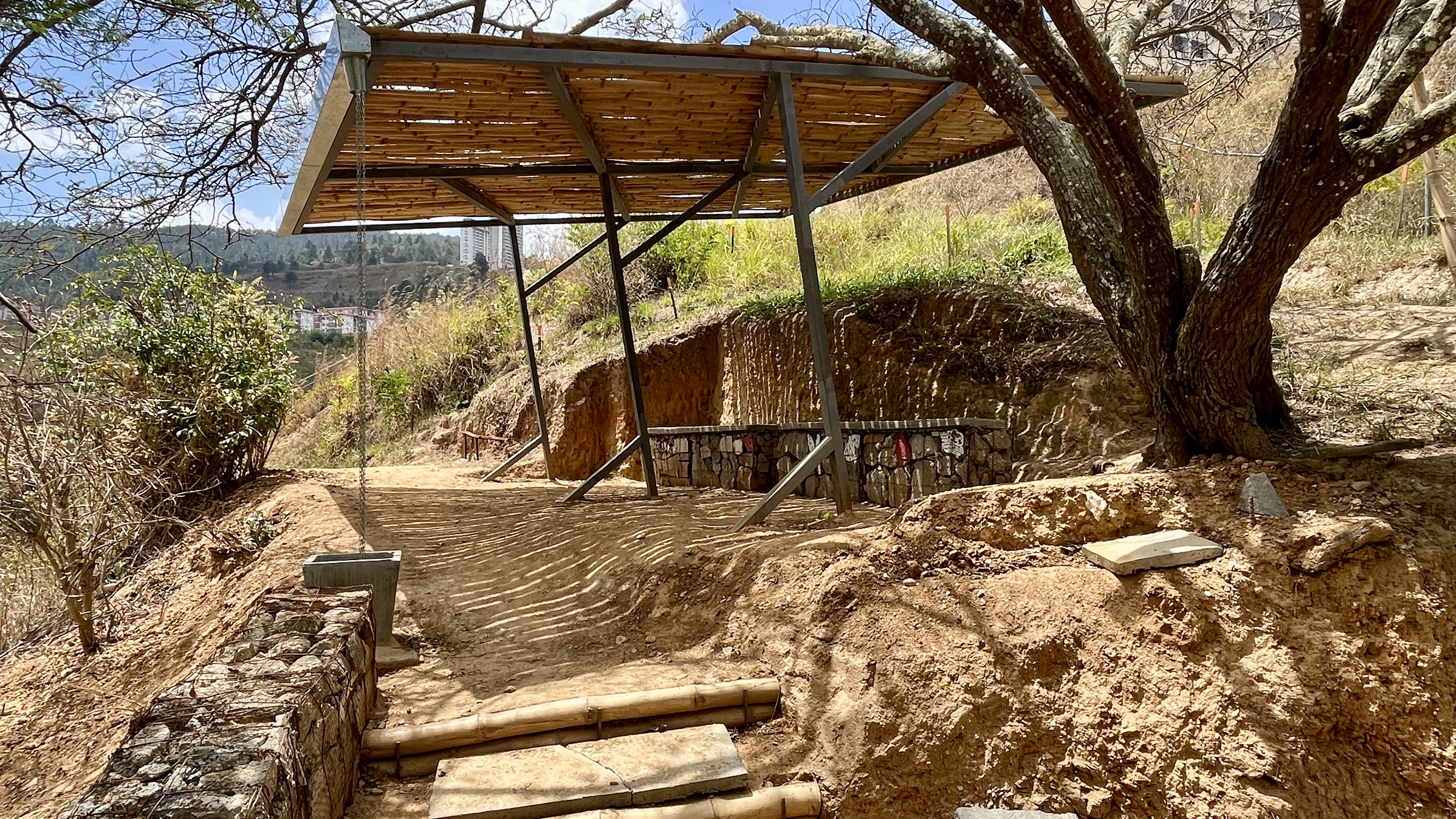 Bosque Común La Palomera