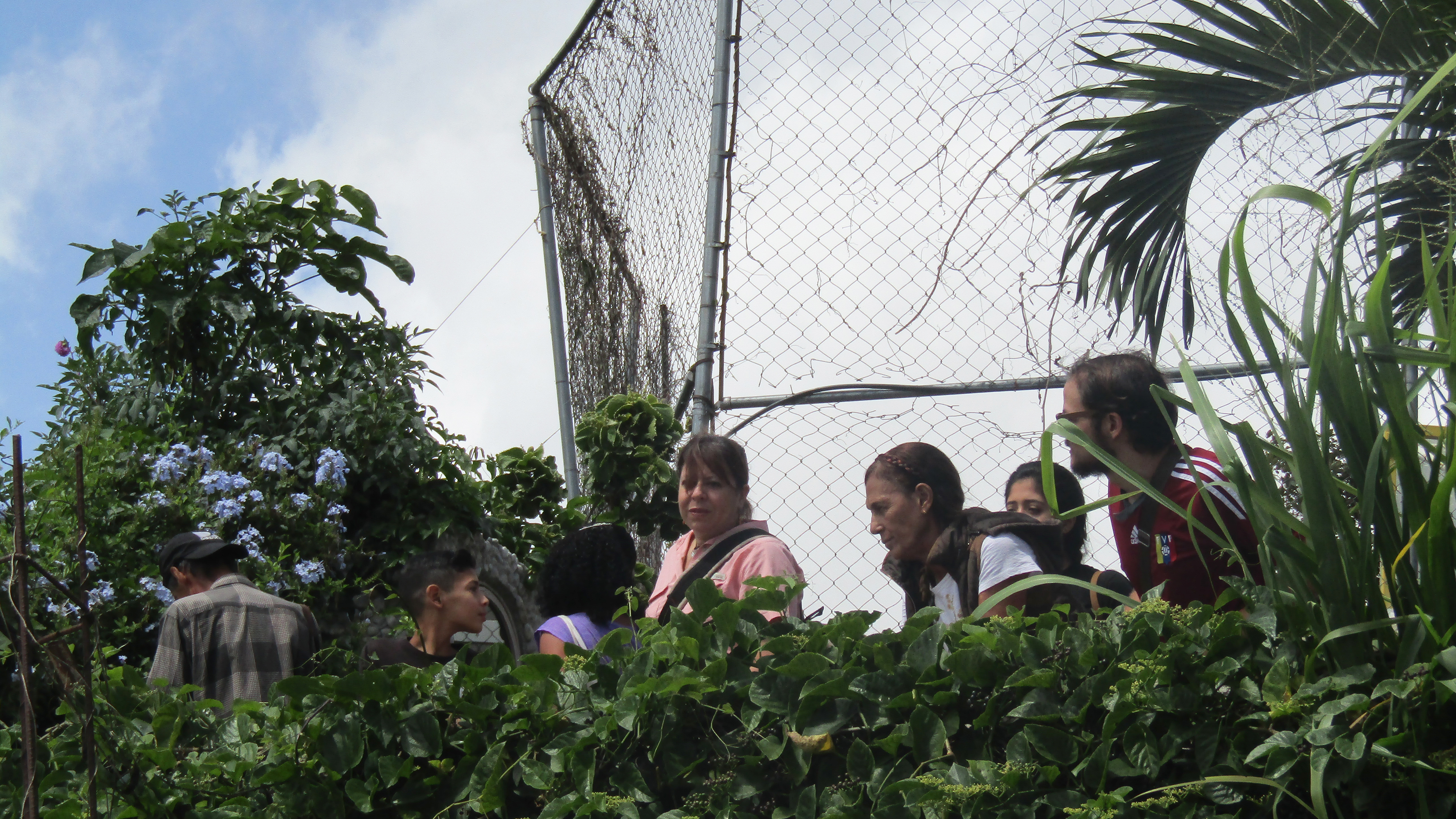IPC | Sexto encuentro - Encuentro verde La Palomera: Conectando jardines, huertos, viveros y otras experiencias de vegetación urbana