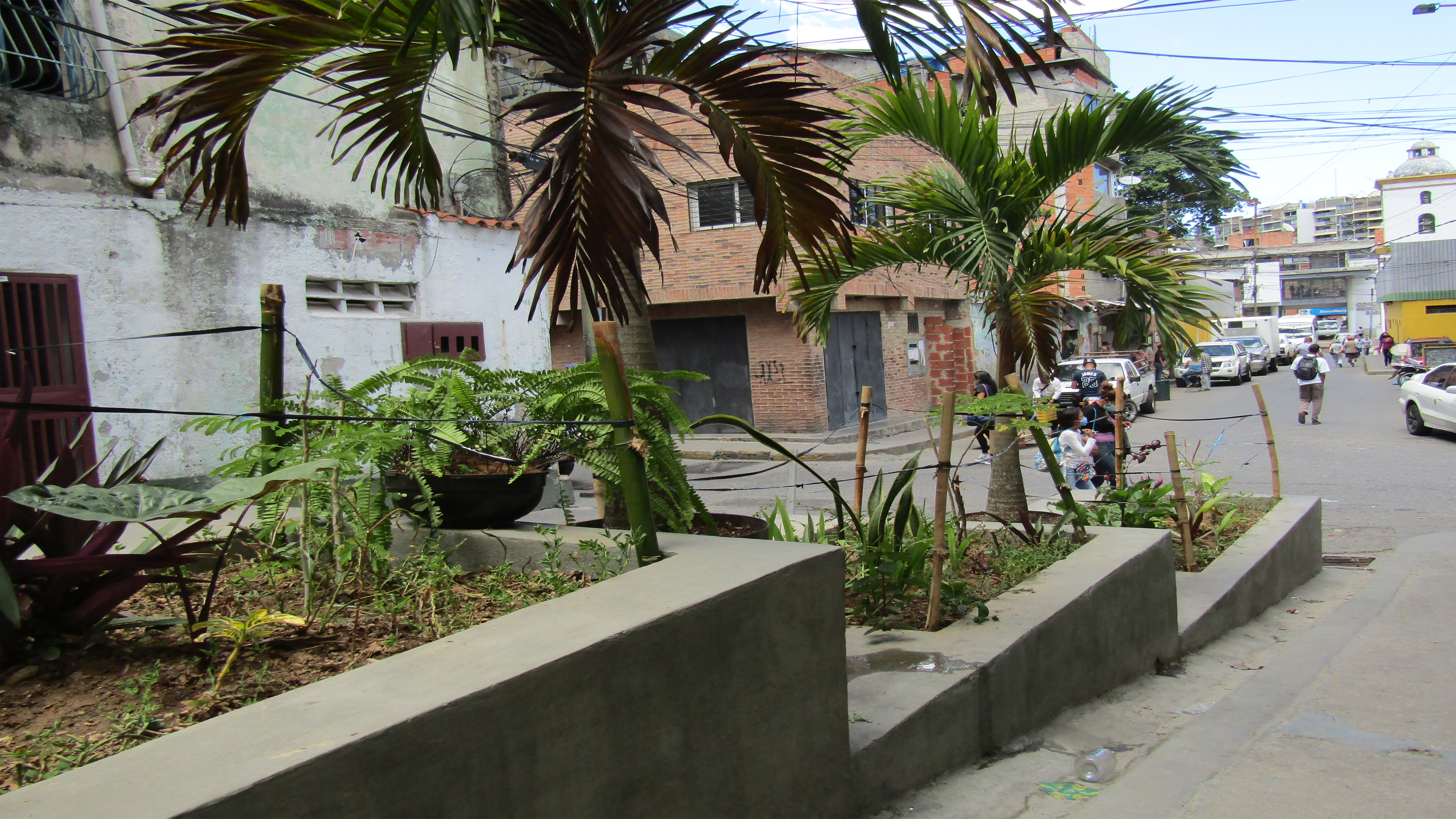Salom Street planters and waste management