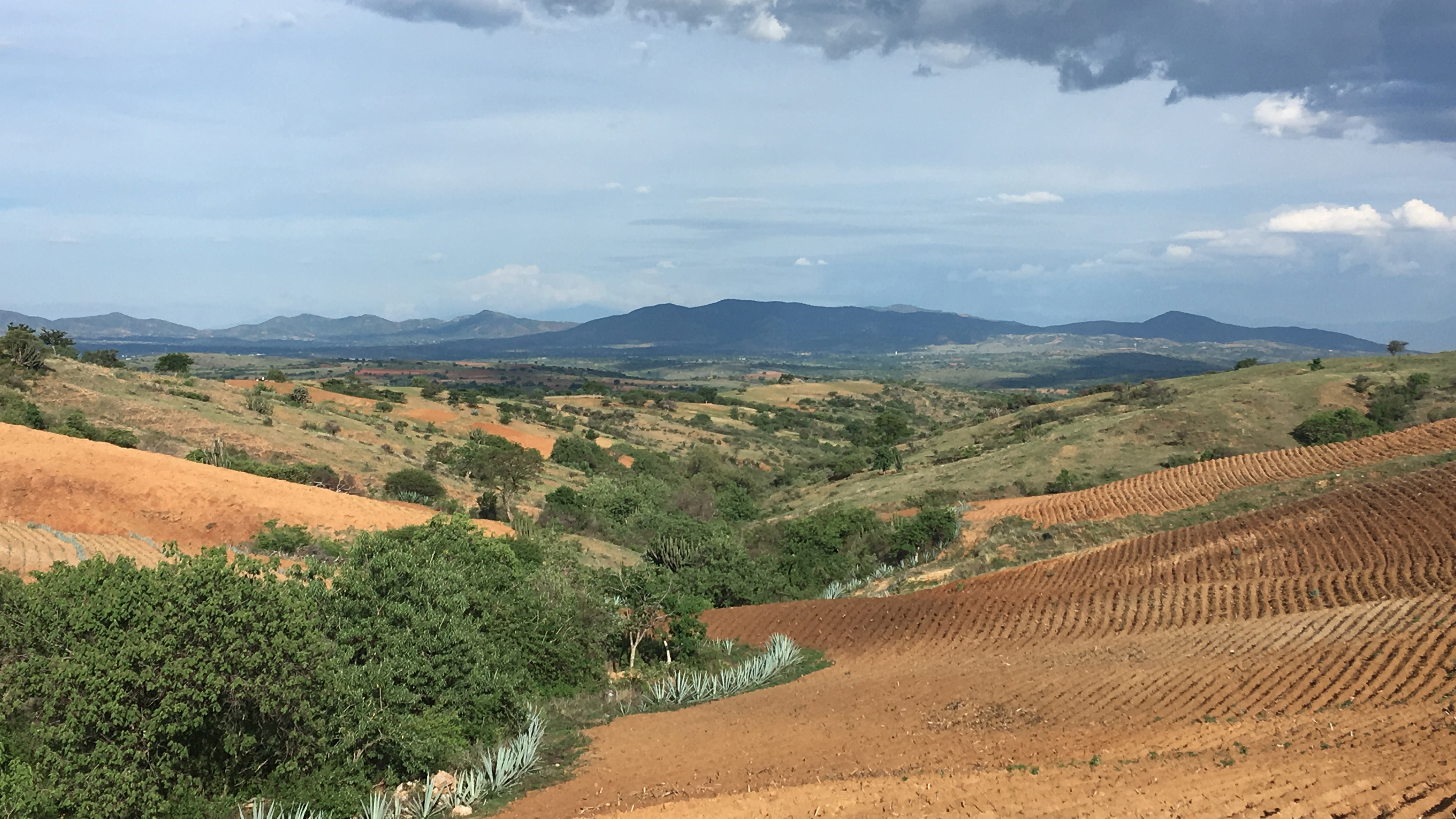 Water harvesting and reforestation in Oaxaca