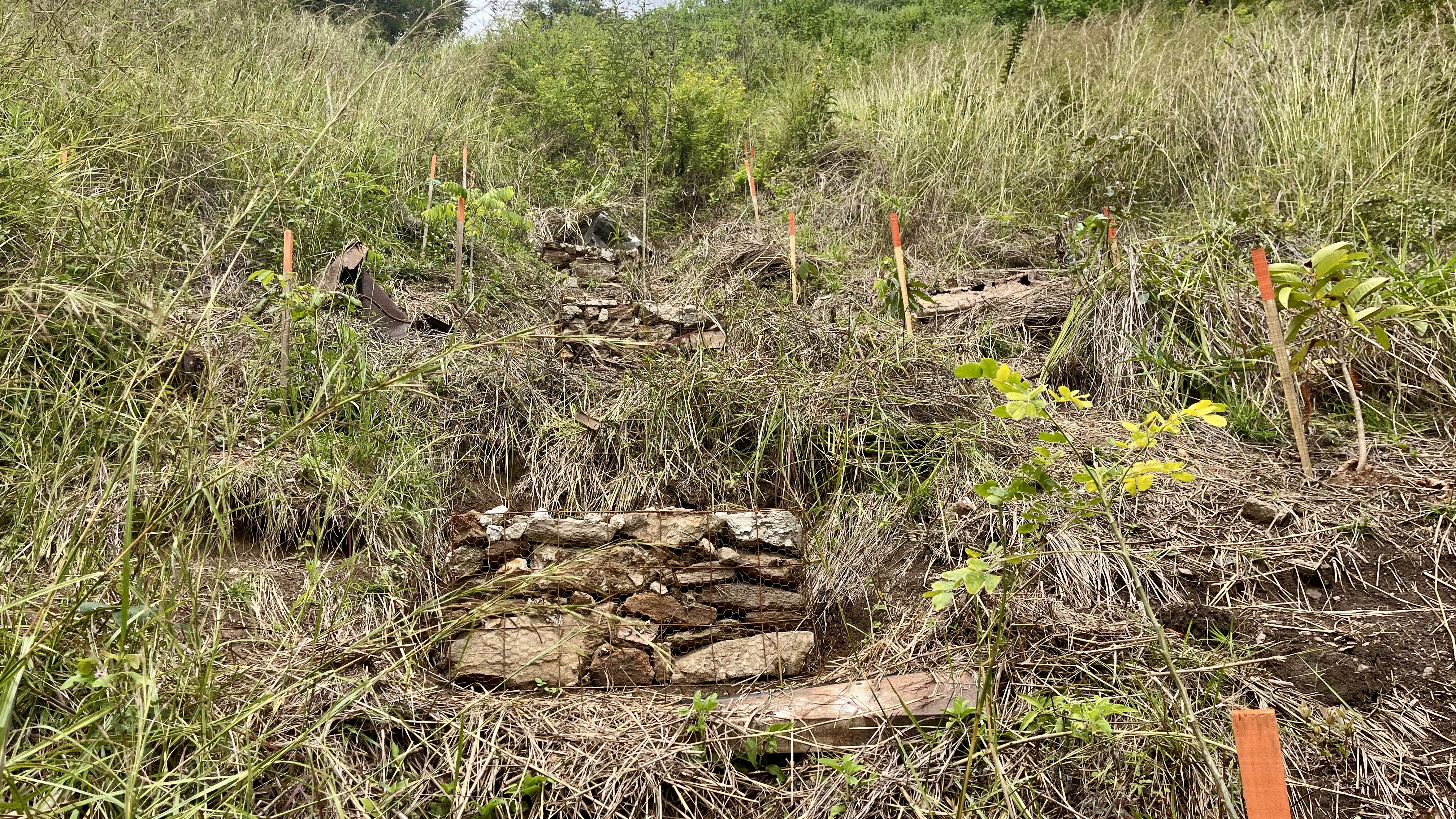 Bosque Común La Palomera