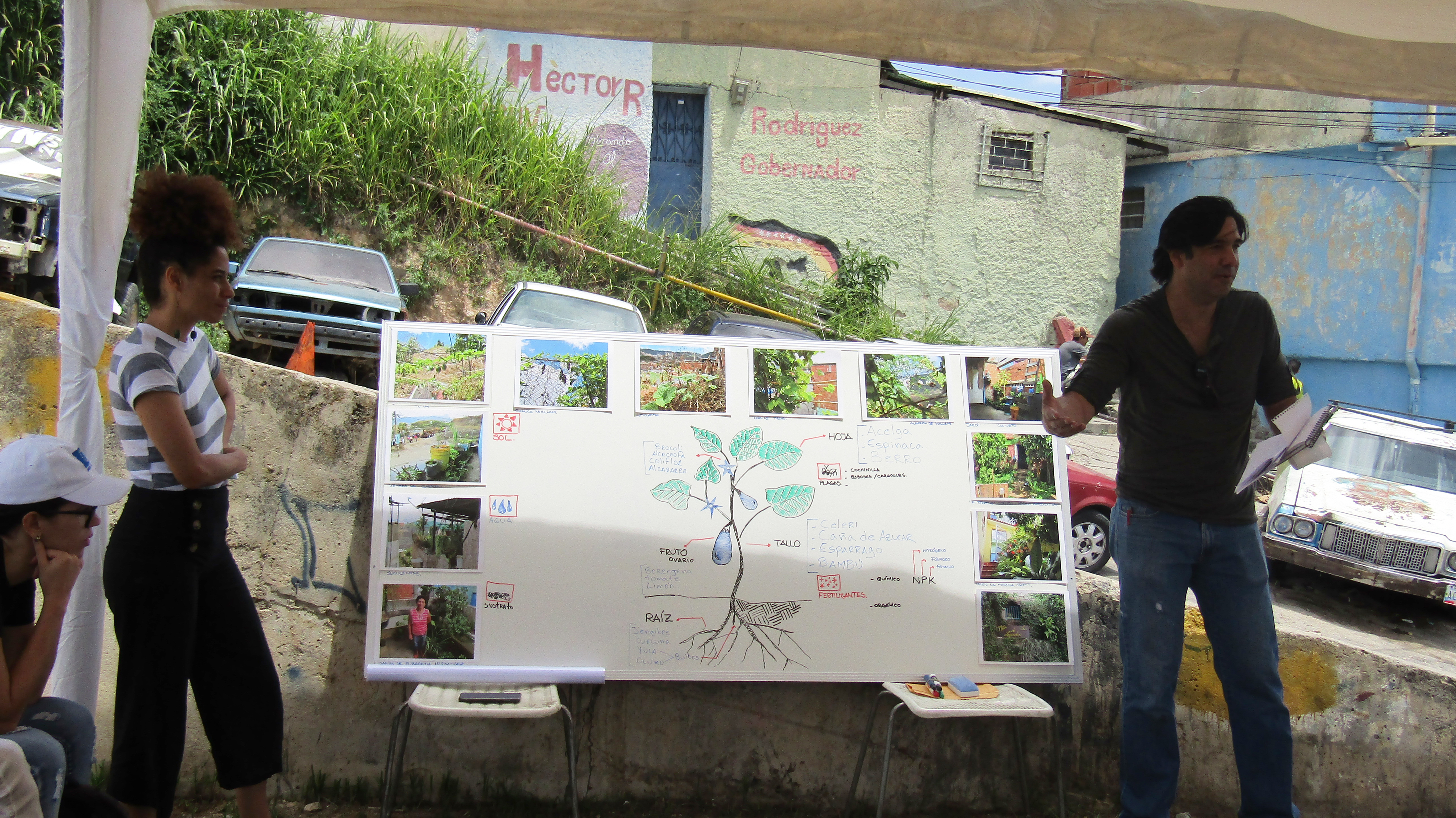 IPC | Sixth Gathering - La Palomera’s Green: Connecting gardens, orchards, nurseries and other experiences of urban vegetation