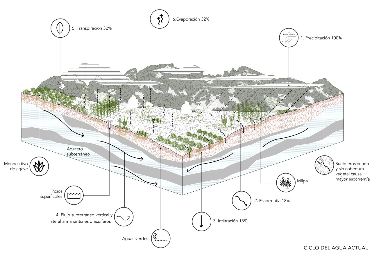 Water harvesting and reforestation in Oaxaca